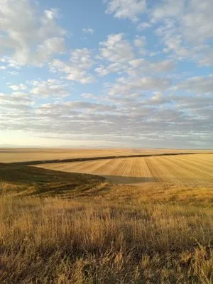 Zanesville Landscape Logo