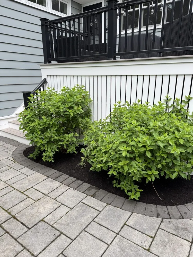 Reliable lawn mowing service in Andover, MA by Zannoni Lawn Care