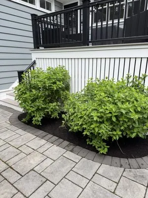 Zannoni Lawn Care Logo