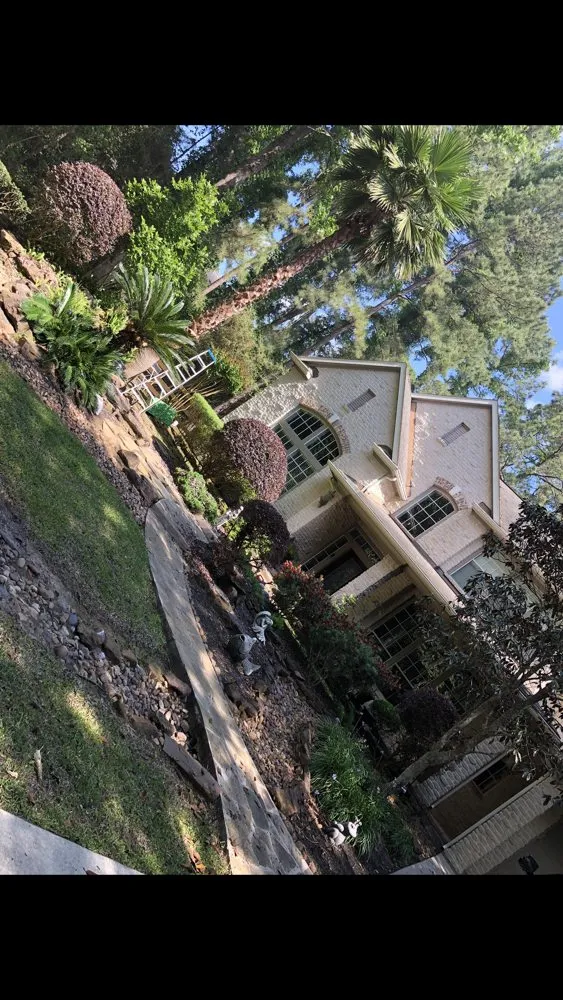 Expert yard cleanup service in Magnolia, TX by Zantis Landscaping