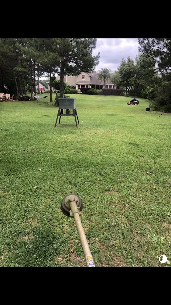 Expert yard cleanup service experts serving Magnolia, TX - Zantis Landscaping