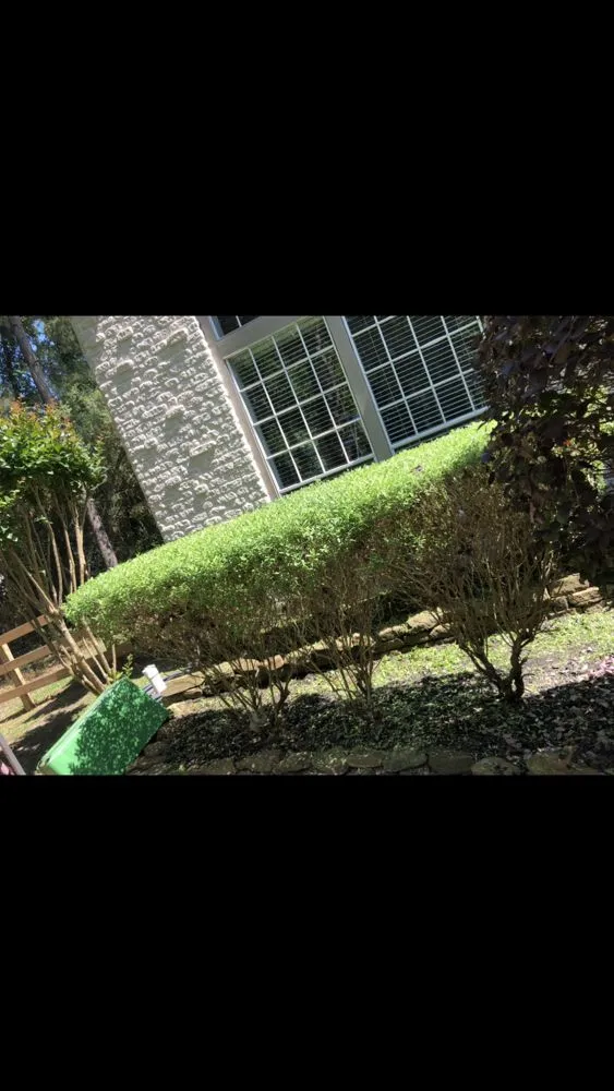 Top-rated yard maintenance for beautiful yards in Magnolia, TX by Zantis Landscaping