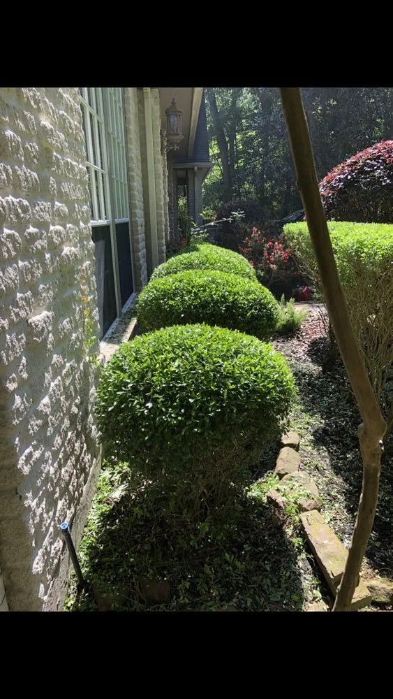 Affordable lawn care service for outdoor upgrades across Magnolia, TX - Zantis Landscaping