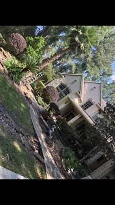 Zantis Landscaping Logo