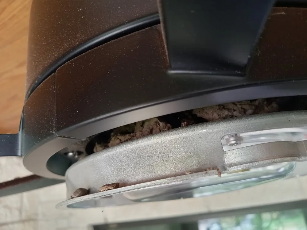 Custom lawn mowing service in Houston, TX by Zanzen's Handyman