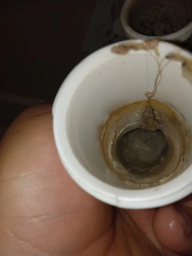 Expert residential landscaping near you across Houston, TX - Zanzen's Handyman