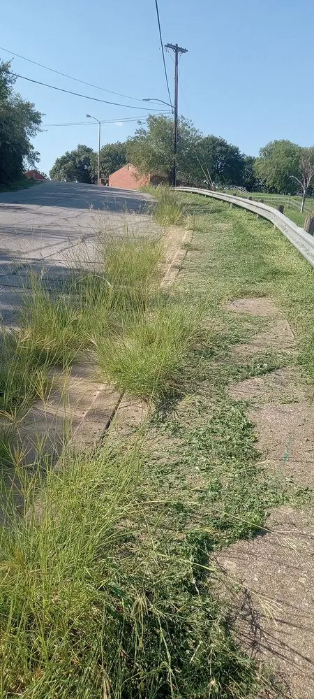 Top-rated lawn care service with custom design across Houston, TX - Zanzen's Handyman