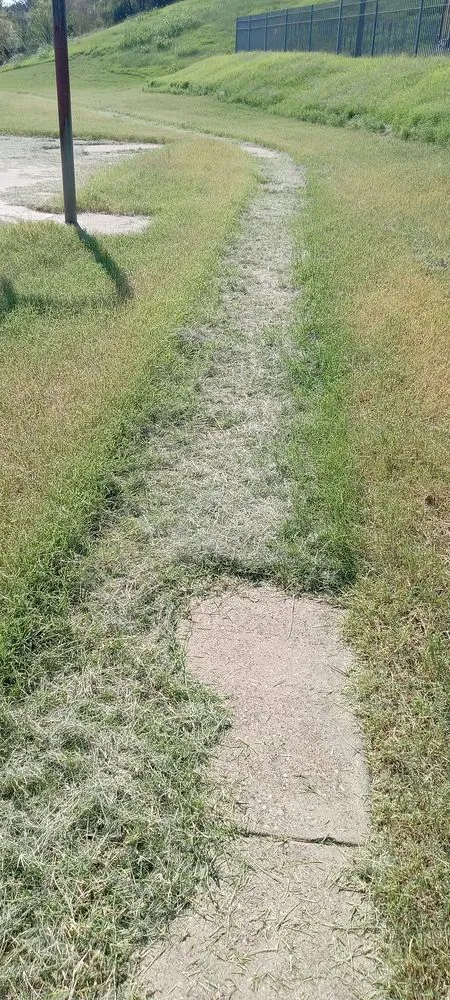 Professional landscape design in Houston, TX by Zanzen's Handyman