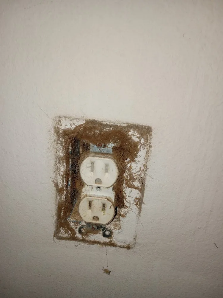 Local lawn care service with custom design across Houston, TX - Zanzen's Handyman