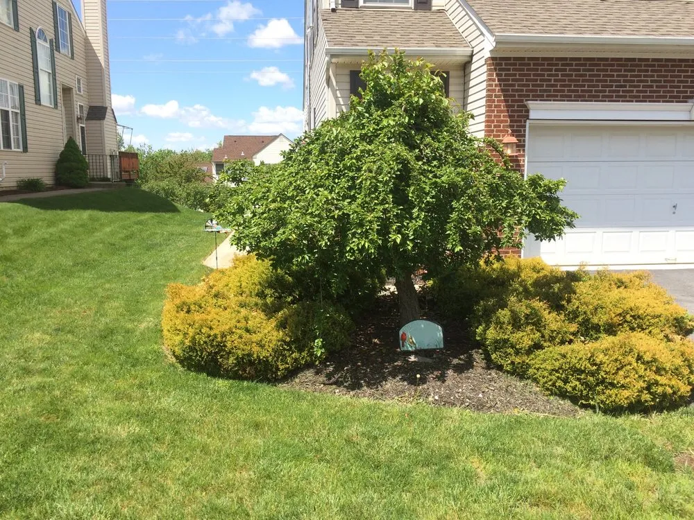Top-rated lawn care service with custom design across Macungie, PA - ZAPA Property Maintenance