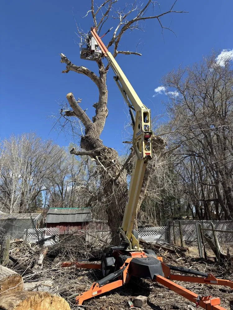 Affordable yard maintenance experts serving Los Lunas, NM - Zapata Outdoor Services