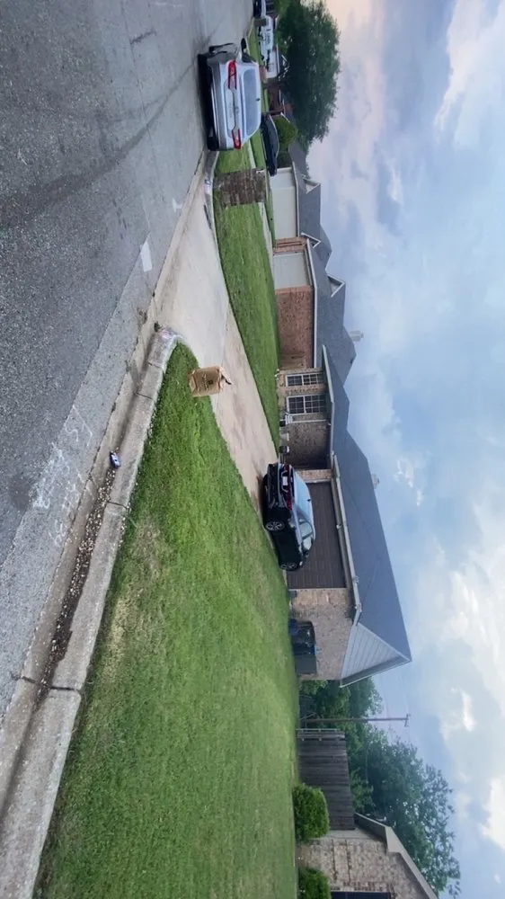 Top-rated yard cleanup service in Fort Worth, TX - Zapata’s Mowing And Landscaping