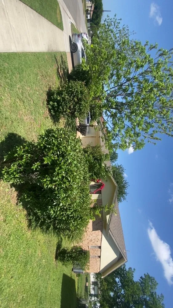 Reliable lawn mowing service for outdoor upgrades across Fort Worth, TX - Zapata’s Mowing And Landscaping