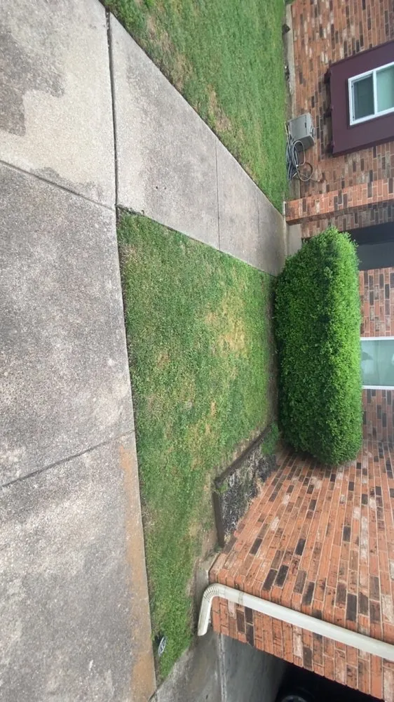 Expert lawn mowing service in Fort Worth, TX - Zapata’s Mowing And Landscaping