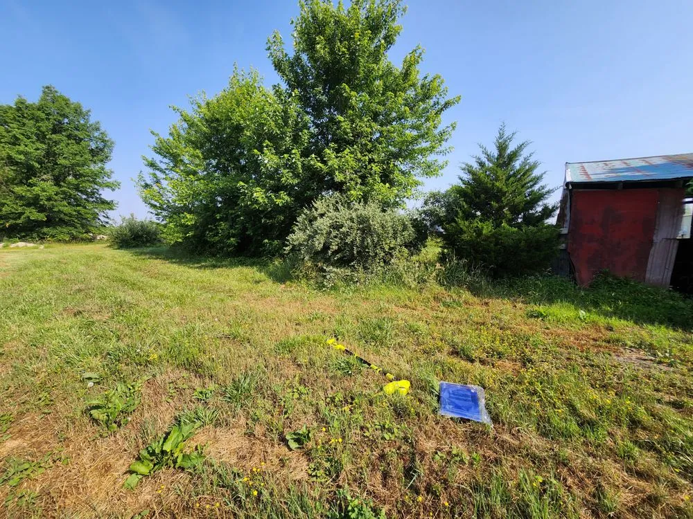 Top-rated lawn care service for residential properties across West Frankfort, IL - Zappa's Trim and Tidy