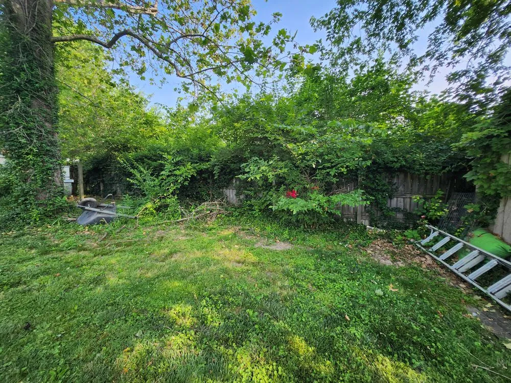 Custom lawn mowing service for homes across West Frankfort, IL - Zappa's Trim and Tidy