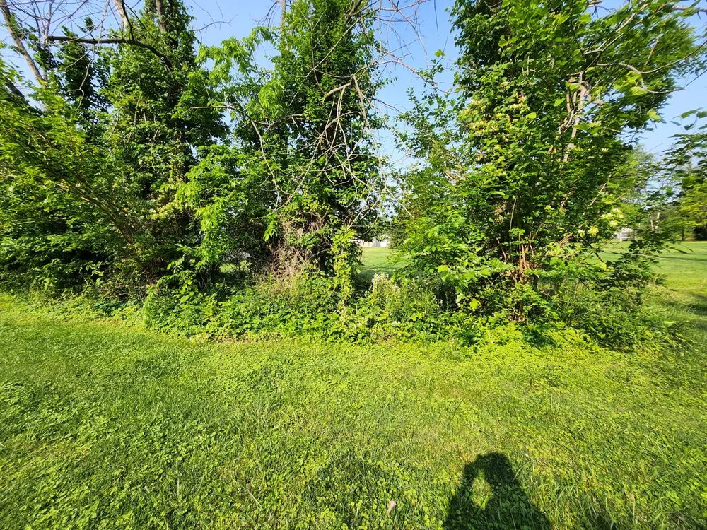 Trusted residential landscaping for outdoor upgrades in West Frankfort, IL by Zappa's Trim and Tidy