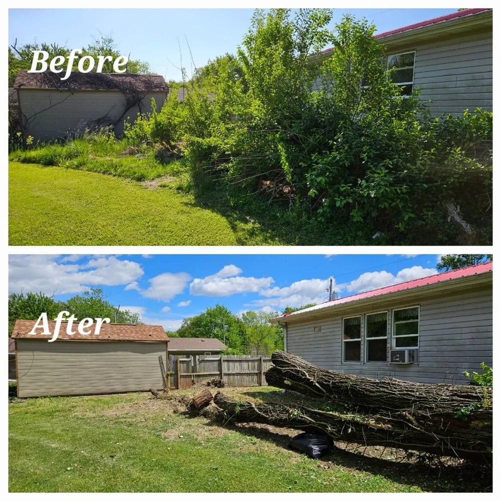 Affordable landscaping services in West Frankfort, IL by Zappa's Trim and Tidy