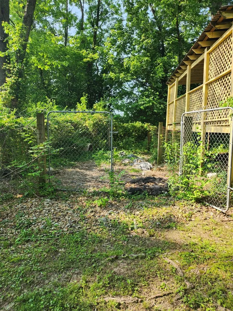 Affordable yard maintenance for residential properties in West Frankfort, IL by Zappa's Trim and Tidy