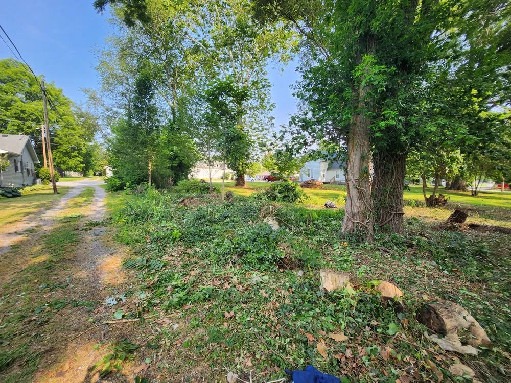 Professional outdoor landscaping near you in West Frankfort, IL by Zappa's Trim and Tidy