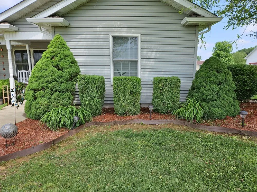 Professional yard maintenance for homes across West Frankfort, IL - Zappa's Trim and Tidy