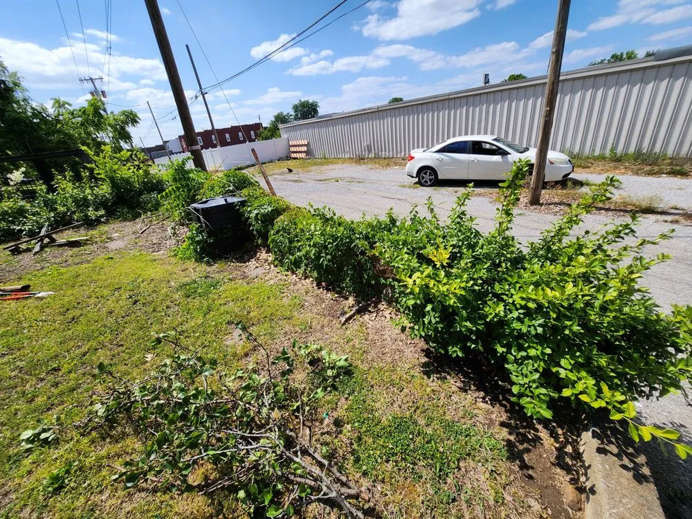 Professional landscape design for year-round maintenance across West Frankfort, IL - Zappa's Trim and Tidy