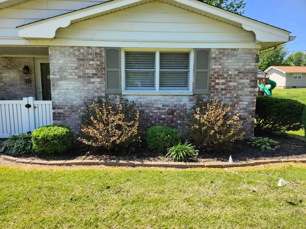 Trusted yard cleanup service in West Frankfort, IL by Zappa's Trim and Tidy