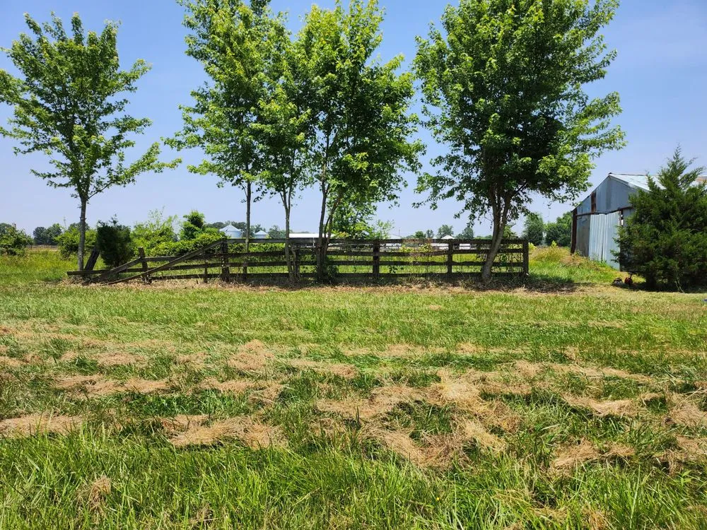 Local residential landscaping for outdoor upgrades across West Frankfort, IL - Zappa's Trim and Tidy