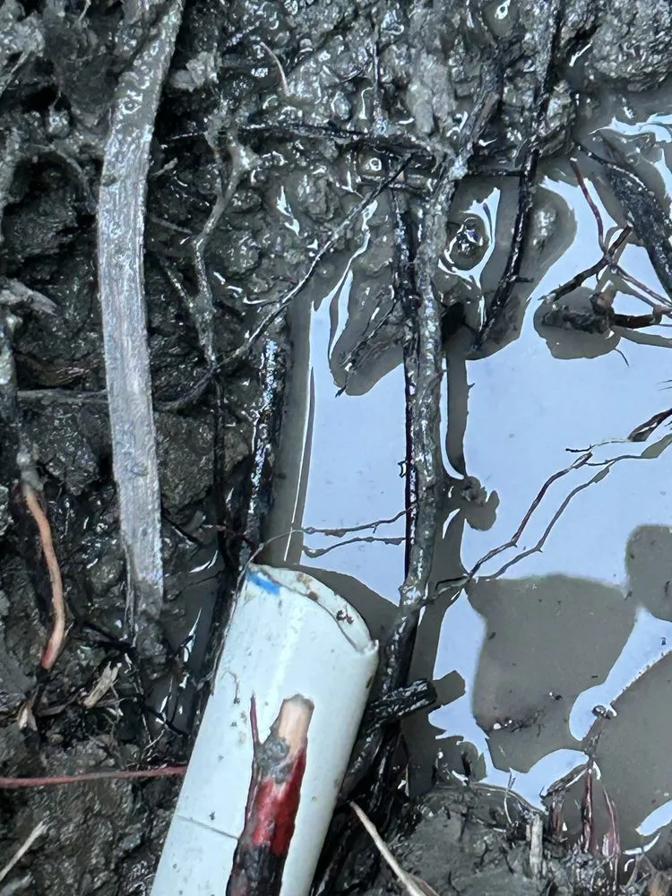 Custom residential landscaping for beautiful yards in San Jose, CA by Zaqueros Gardening