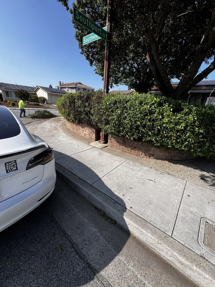 Trusted lawn care service in San Jose, CA by Zaqueros Gardening