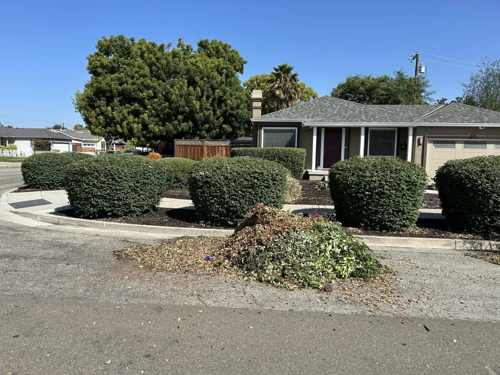 Local landscaping services in San Jose, CA - Zaqueros Gardening