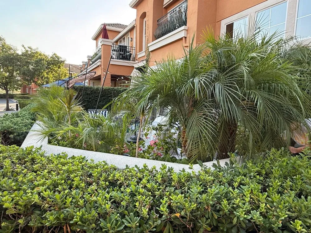 Expert residential landscaping near you across San Jose, CA - Zaqueros Gardening