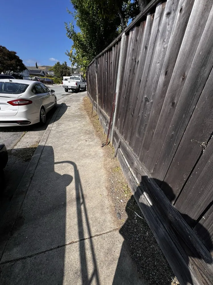 Expert landscape design experts serving San Jose, CA - Zaqueros Gardening