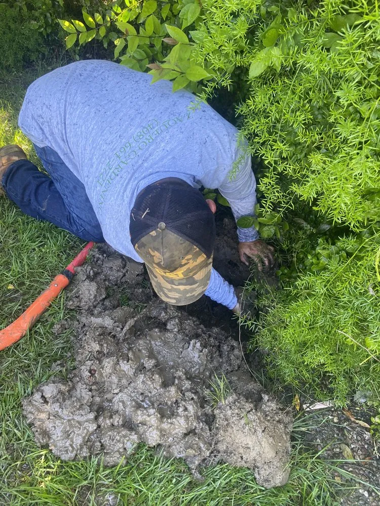 Affordable garden landscaping near you across San Jose, CA - Zaqueros Gardening