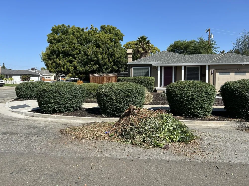 Local lawn care service with custom design in San Jose, CA by Zaqueros Gardening