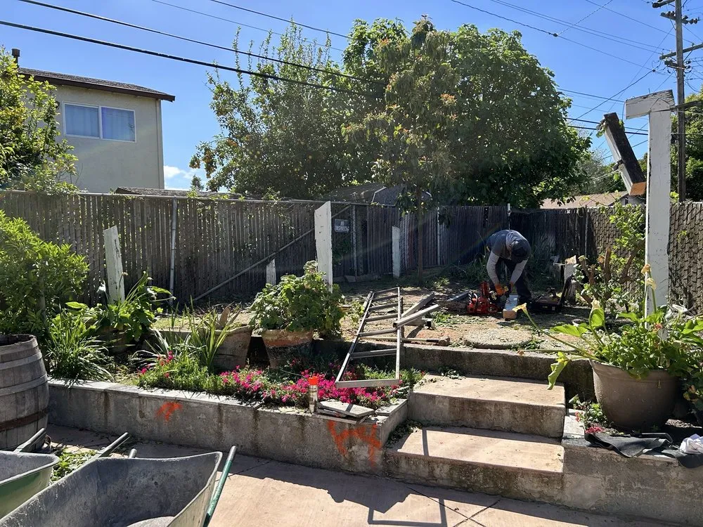 Affordable landscaping services in Santa Clara, CA - Zaragoza Landscape