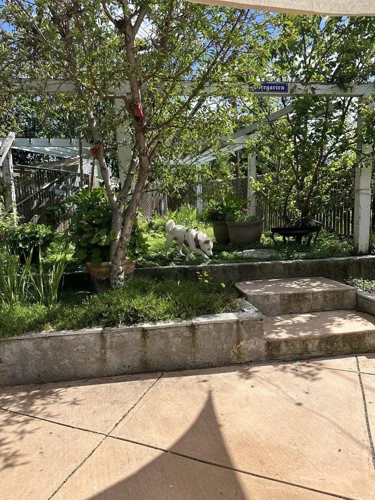 Professional landscape installation experts serving Santa Clara, CA - Zaragoza Landscape