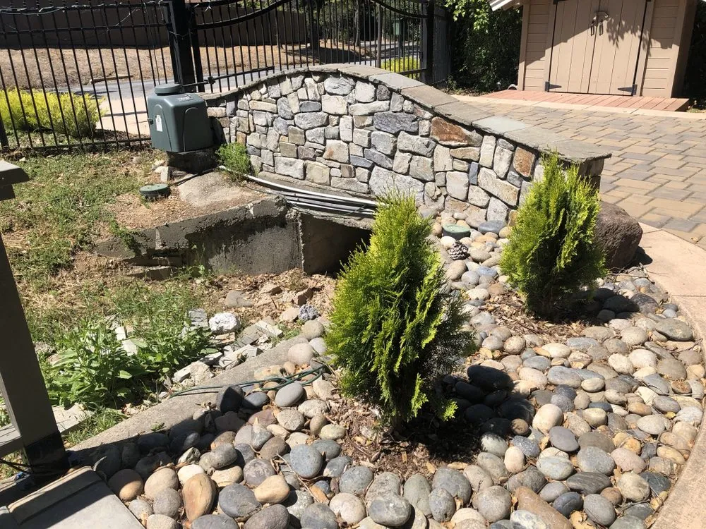 Expert yard cleanup service experts serving Santa Clara, CA - Zaragoza Landscape