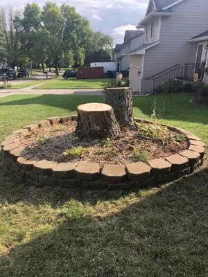 Zaragoza Lawn Care Logo