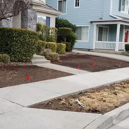 Custom yard cleanup service for outdoor upgrades in Concord, CA by Zaragoza Tree Services