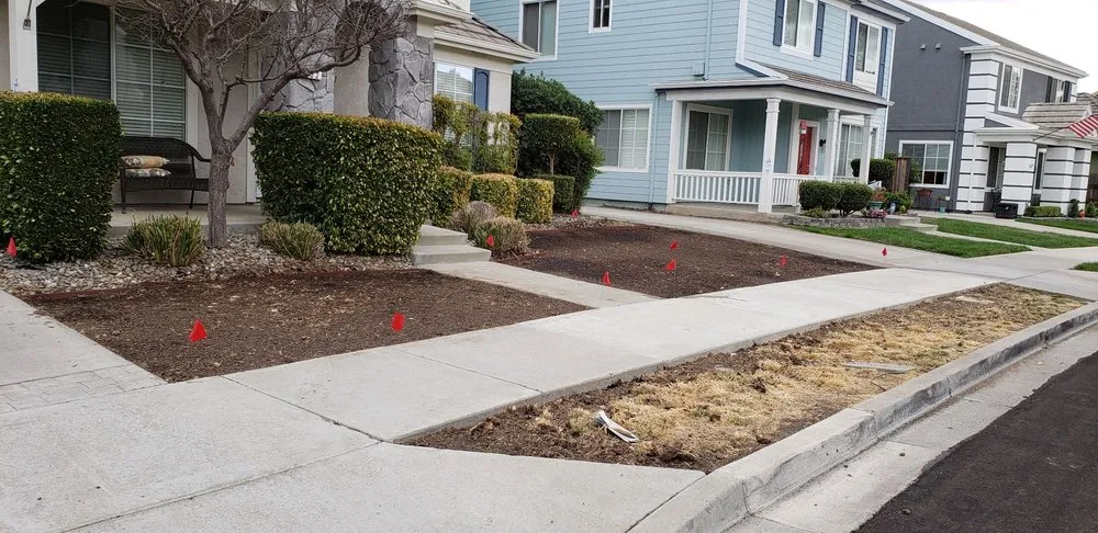 Affordable residential landscaping experts serving Concord, CA - Zaragoza Tree Services