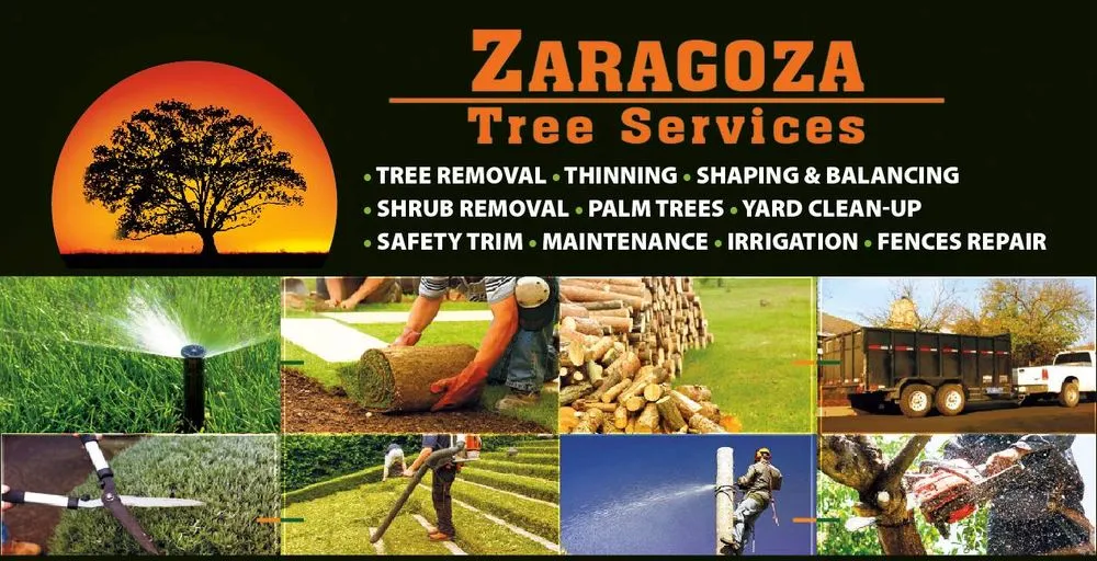 Affordable residential landscaping near you in Concord, CA by Zaragoza Tree Services