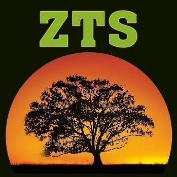 Custom garden landscaping for outdoor upgrades across Concord, CA - Zaragoza Tree Services