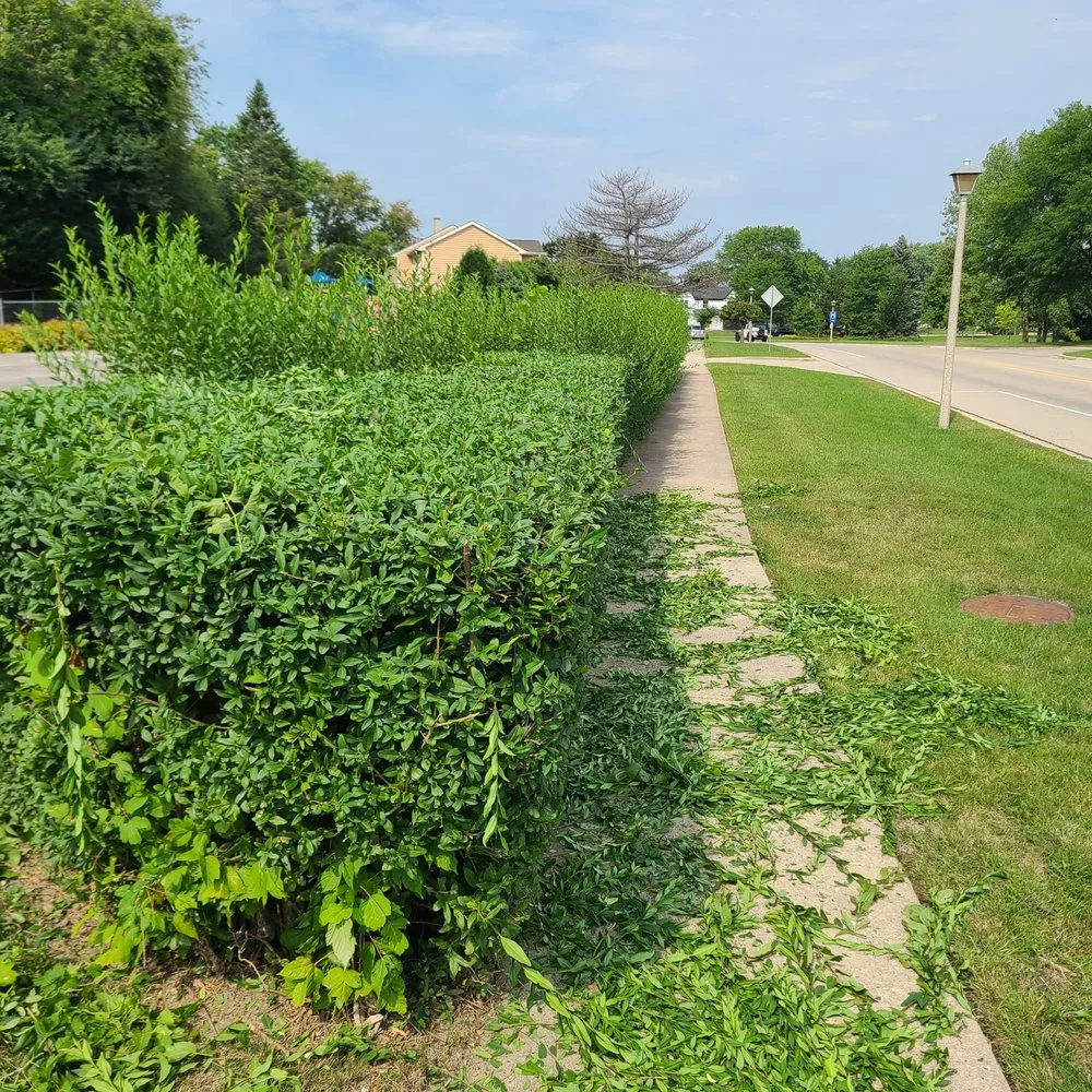 Affordable landscaping services in Waukegan, IL by Zarceno Lawn Service