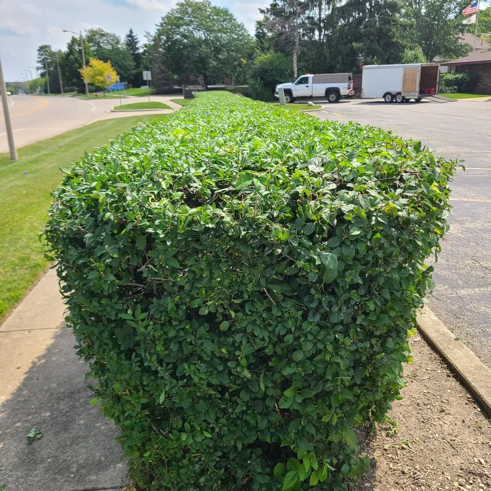 Local landscaping services in Waukegan, IL - Zarceno Lawn Service