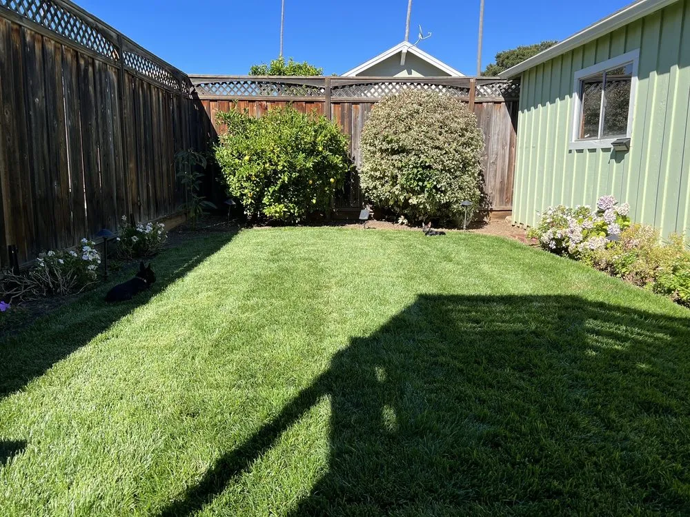 Top-rated landscape design in San Mateo, CA - Zarco Gardens Landscaping