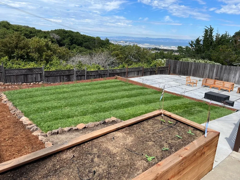 Professional garden landscaping in San Mateo, CA by Zarco Gardens Landscaping