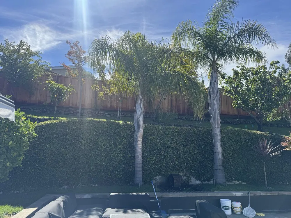 Custom landscape design in San Mateo, CA - Zarco Gardens Landscaping