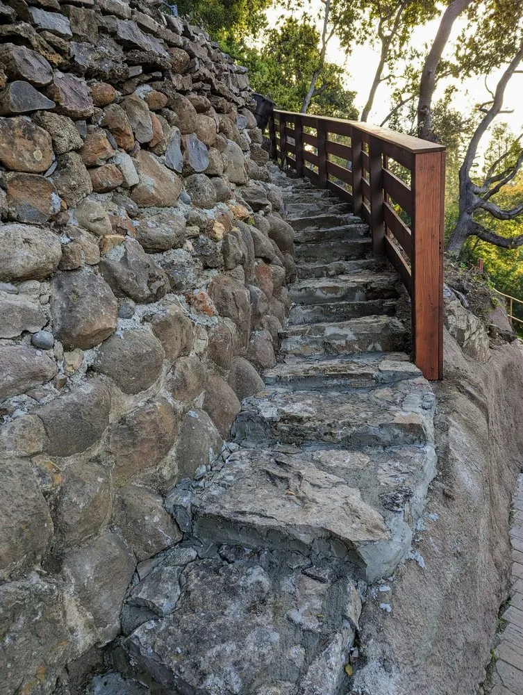 Expert yard cleanup service in San Mateo, CA by Zarco Gardens Landscaping