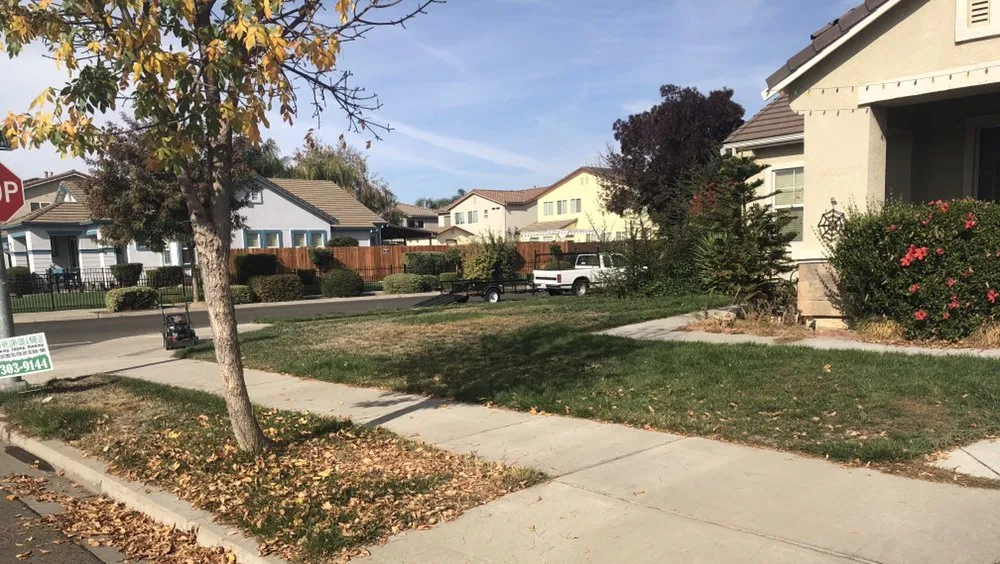 Professional garden landscaping near you across Ceres, CA - Zarco Sons Lawn Care & More